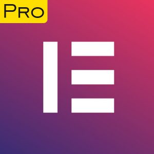افزونه elementor pro